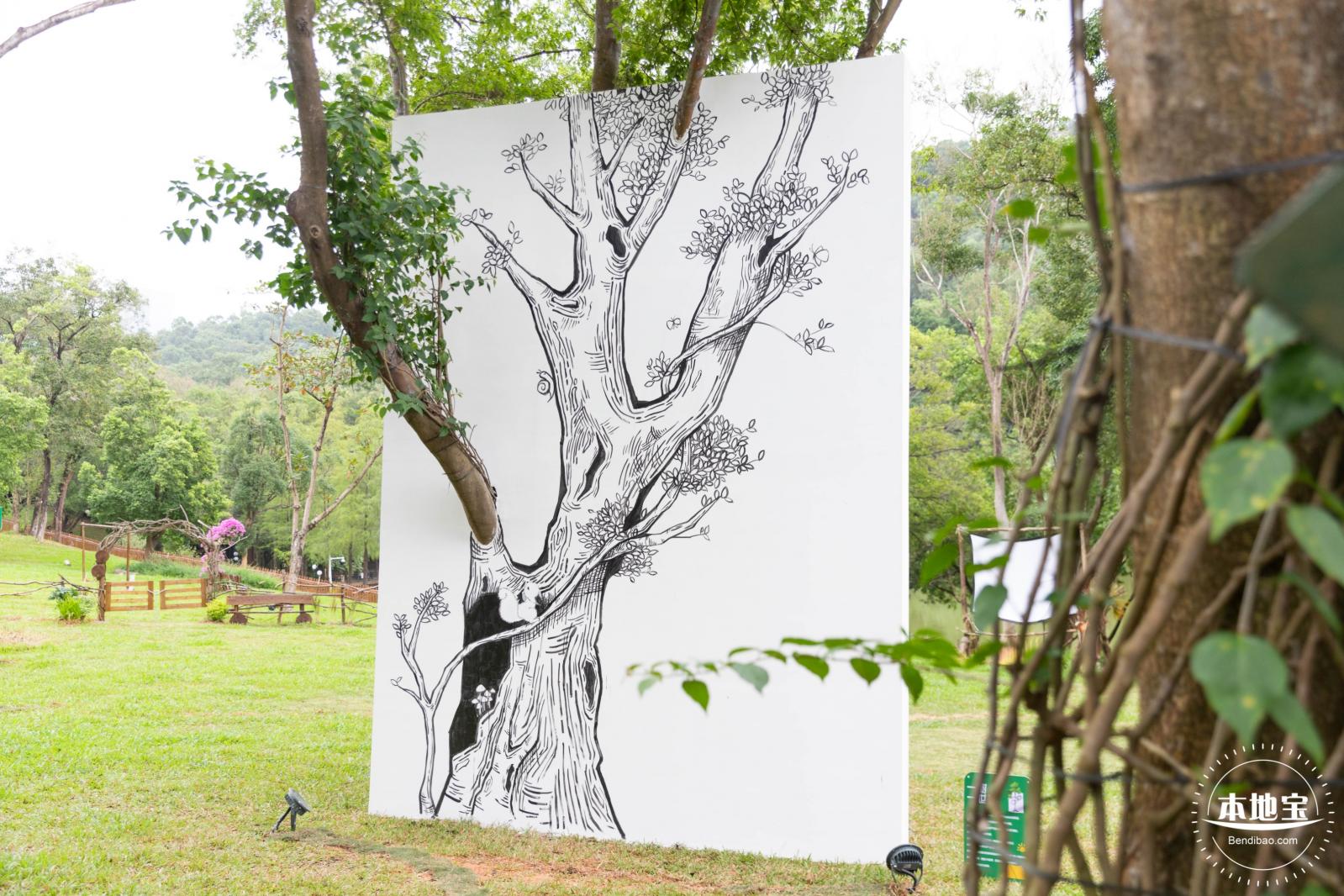 2023深圳簕杜鹃展