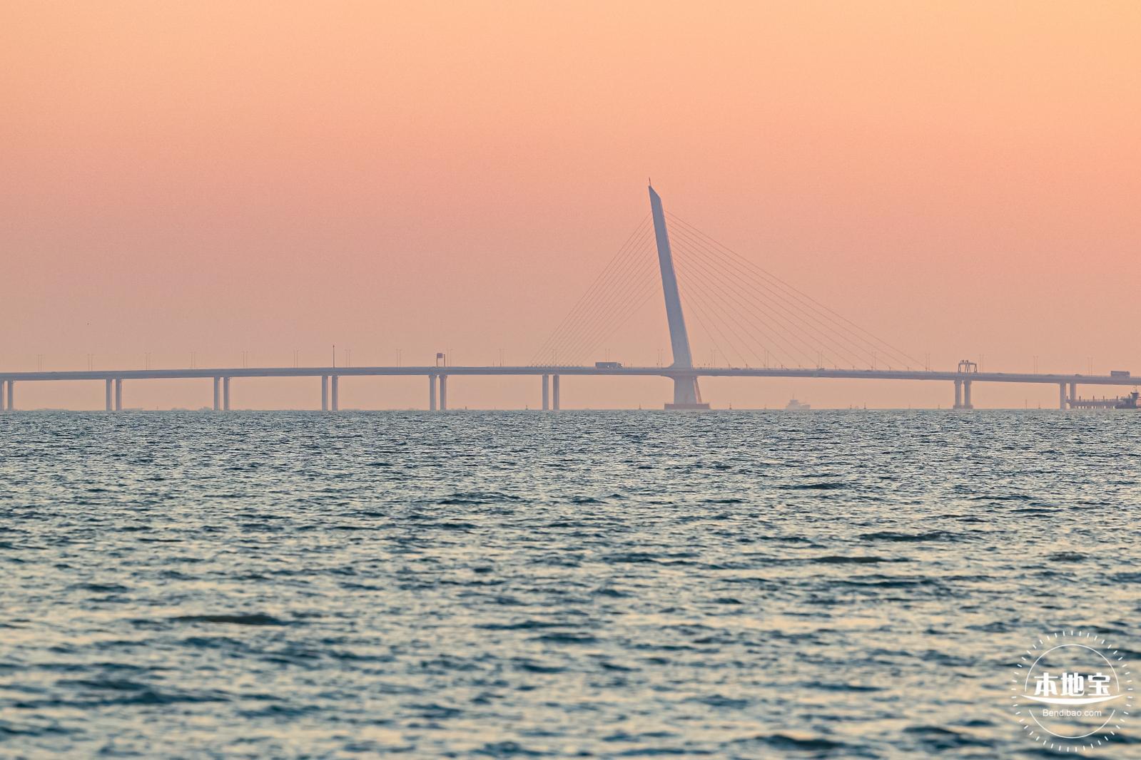 深圳湾公园冬候鸟