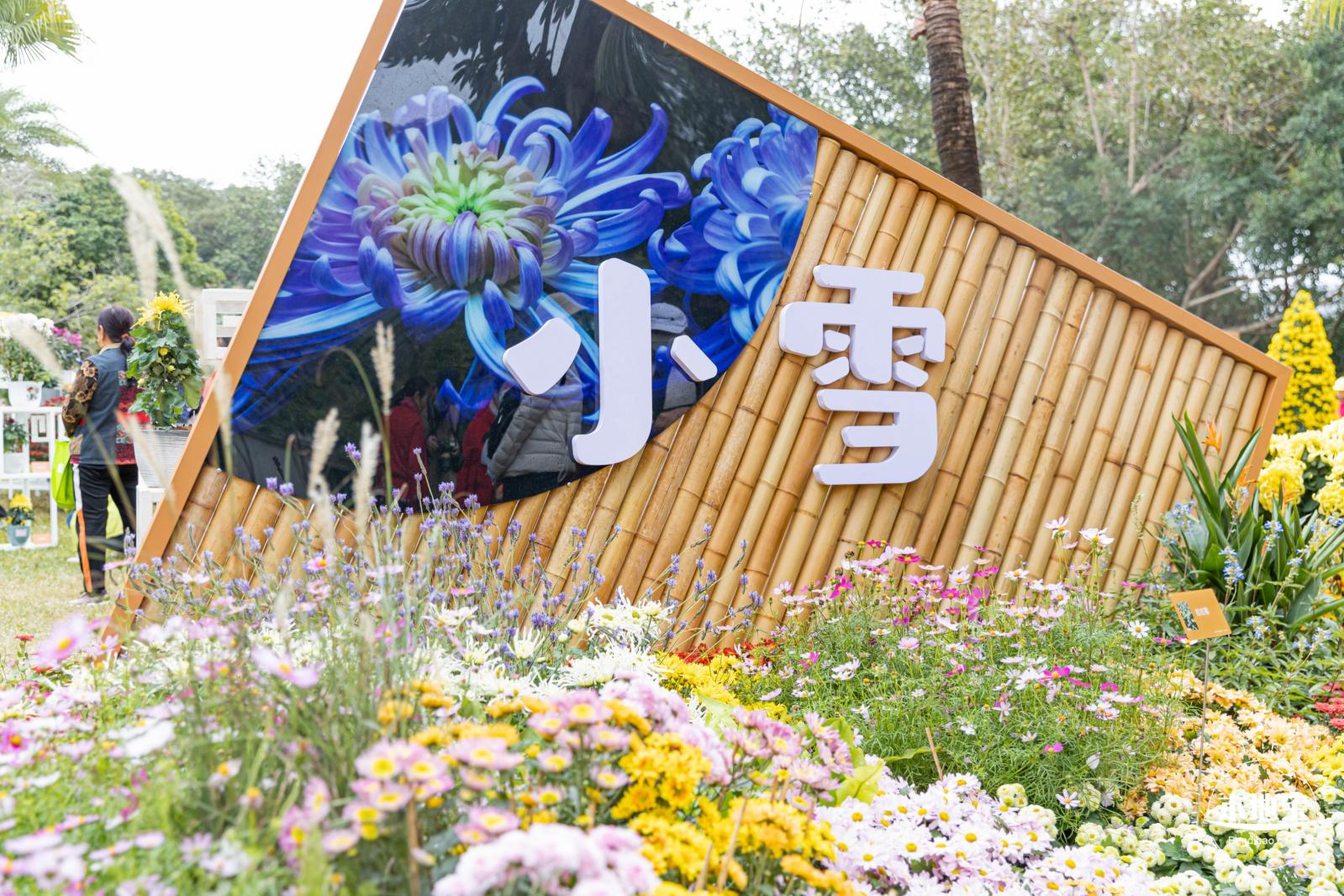 2023东湖公园菊花展