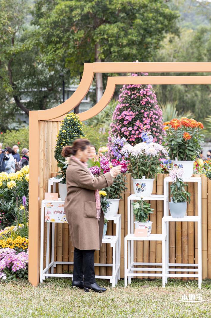 2023东湖公园菊花展