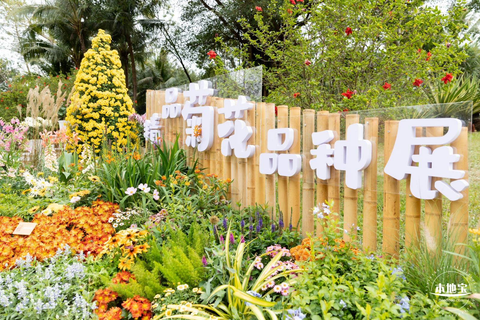 2023东湖公园菊花展