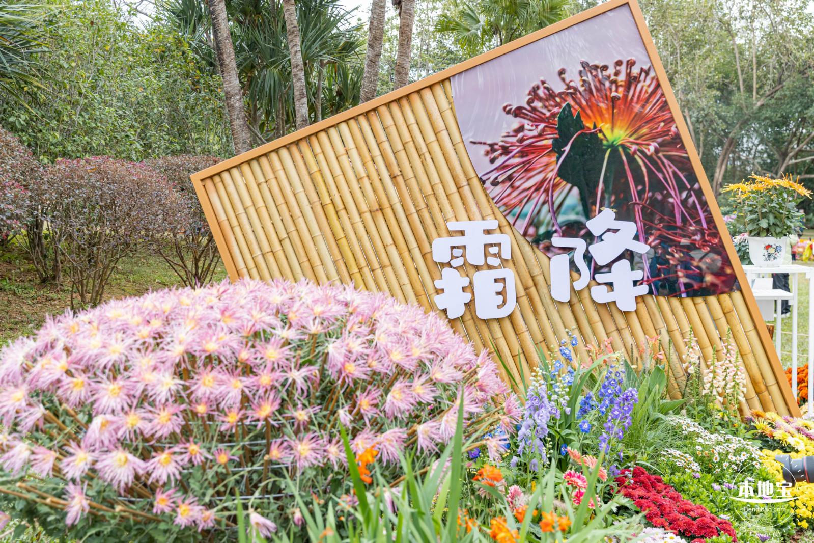 2023东湖公园菊花展