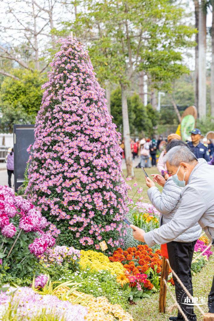 2023东湖公园菊花展