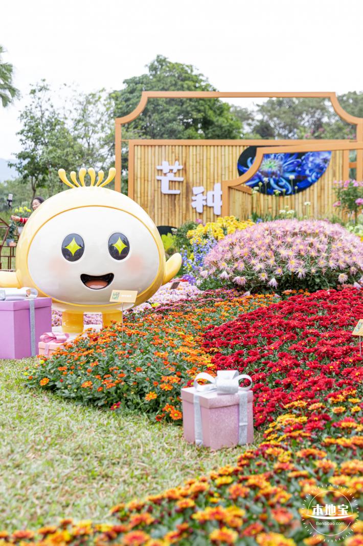2023东湖公园菊花展
