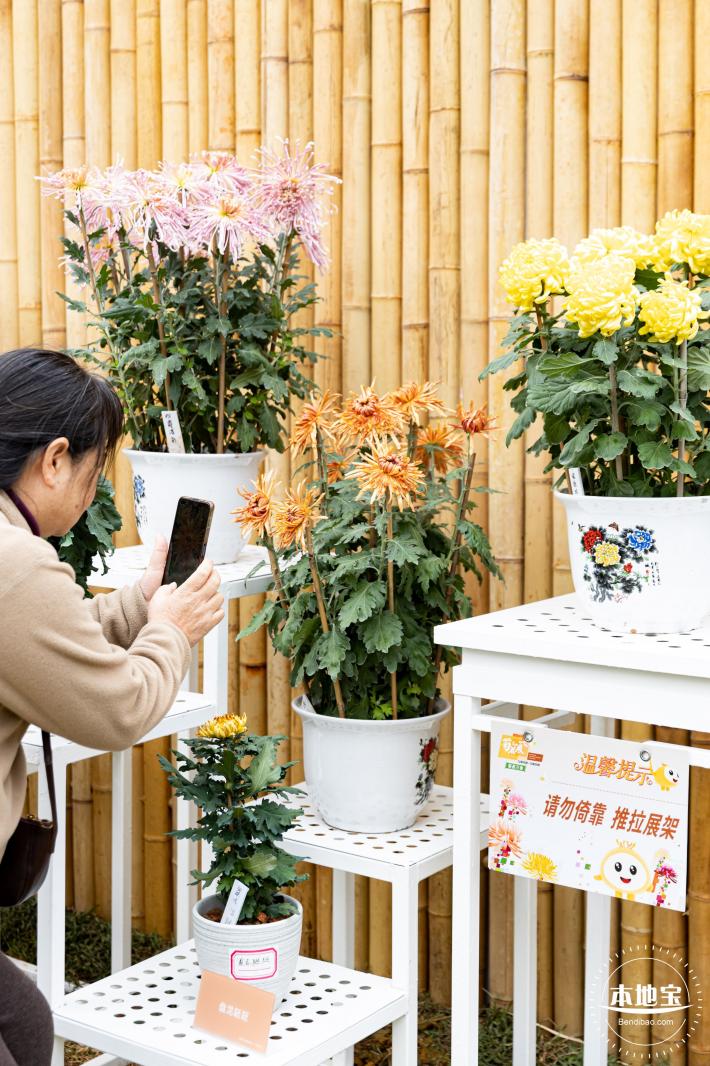 2023东湖公园菊花展