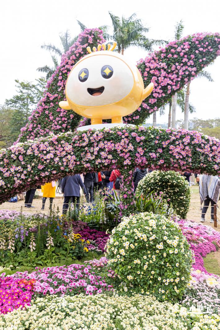 2023东湖公园菊花展