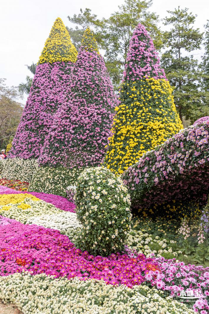 2023东湖公园菊花展