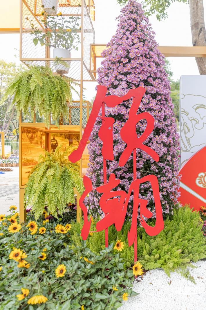 西丽生态公园花海&菊花展