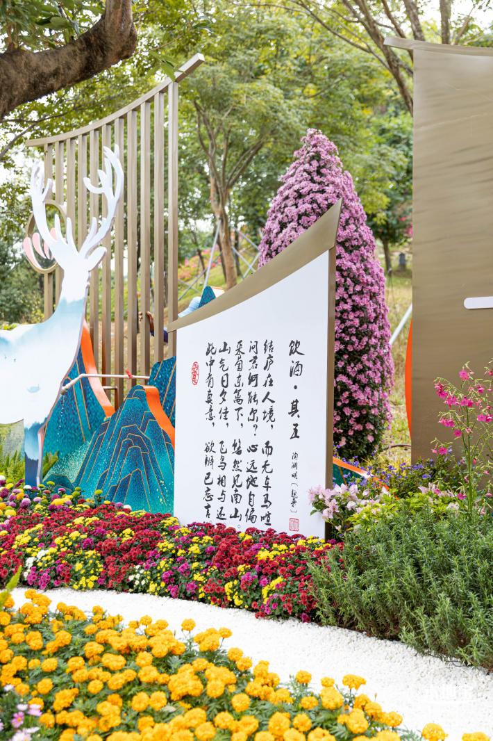 西丽生态公园花海&菊花展