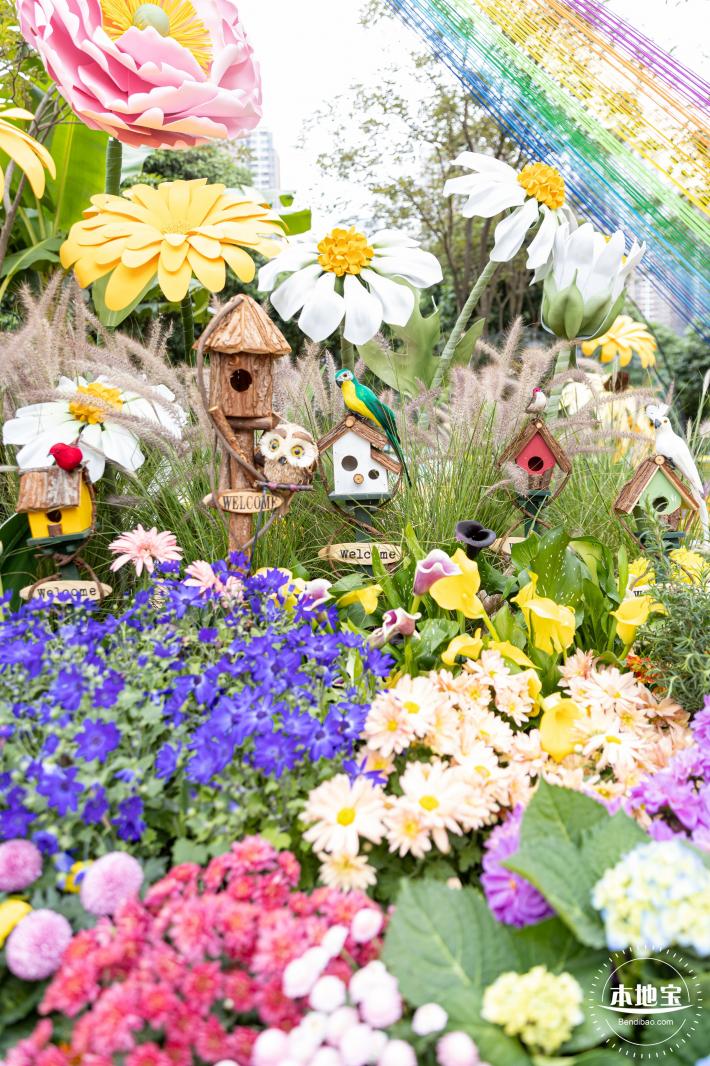 西丽生态公园花海&菊花展