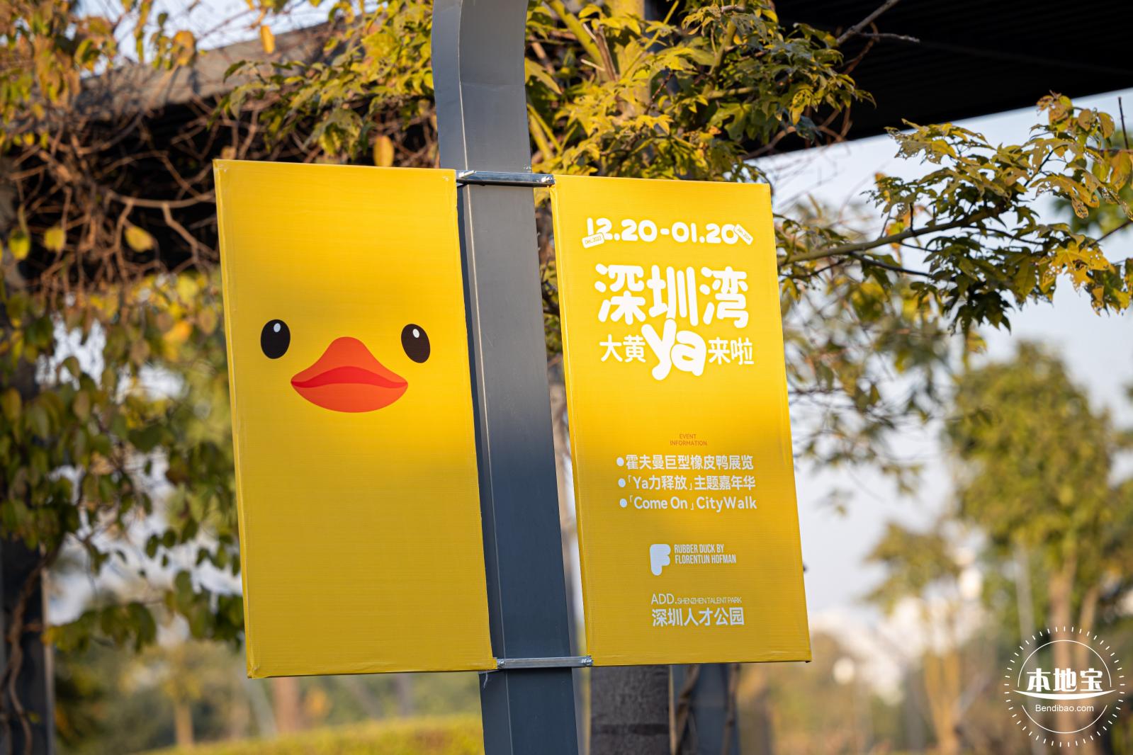 人才公园大黄鸭