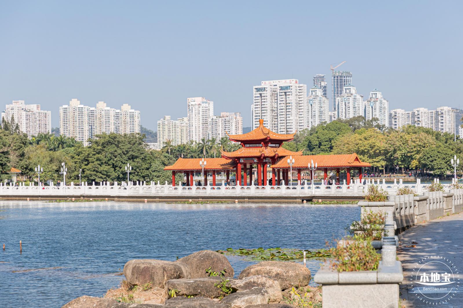 荔枝公园落羽杉