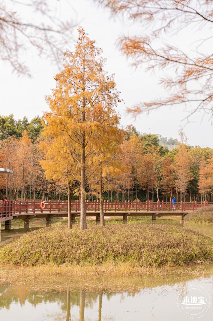 红花岭公园