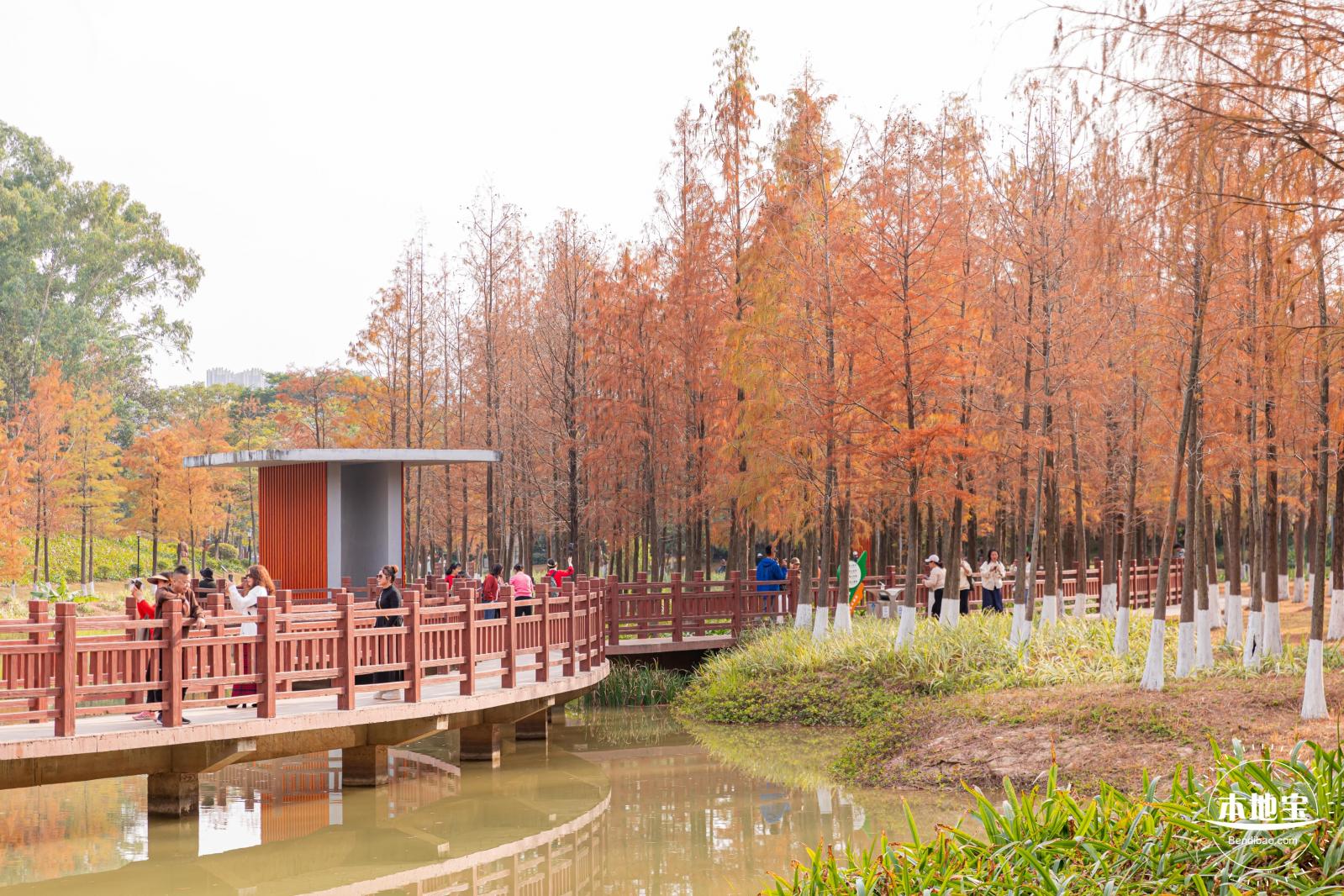 红花岭公园