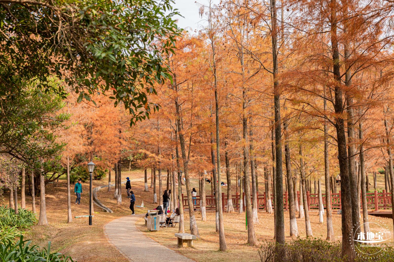 红花岭公园