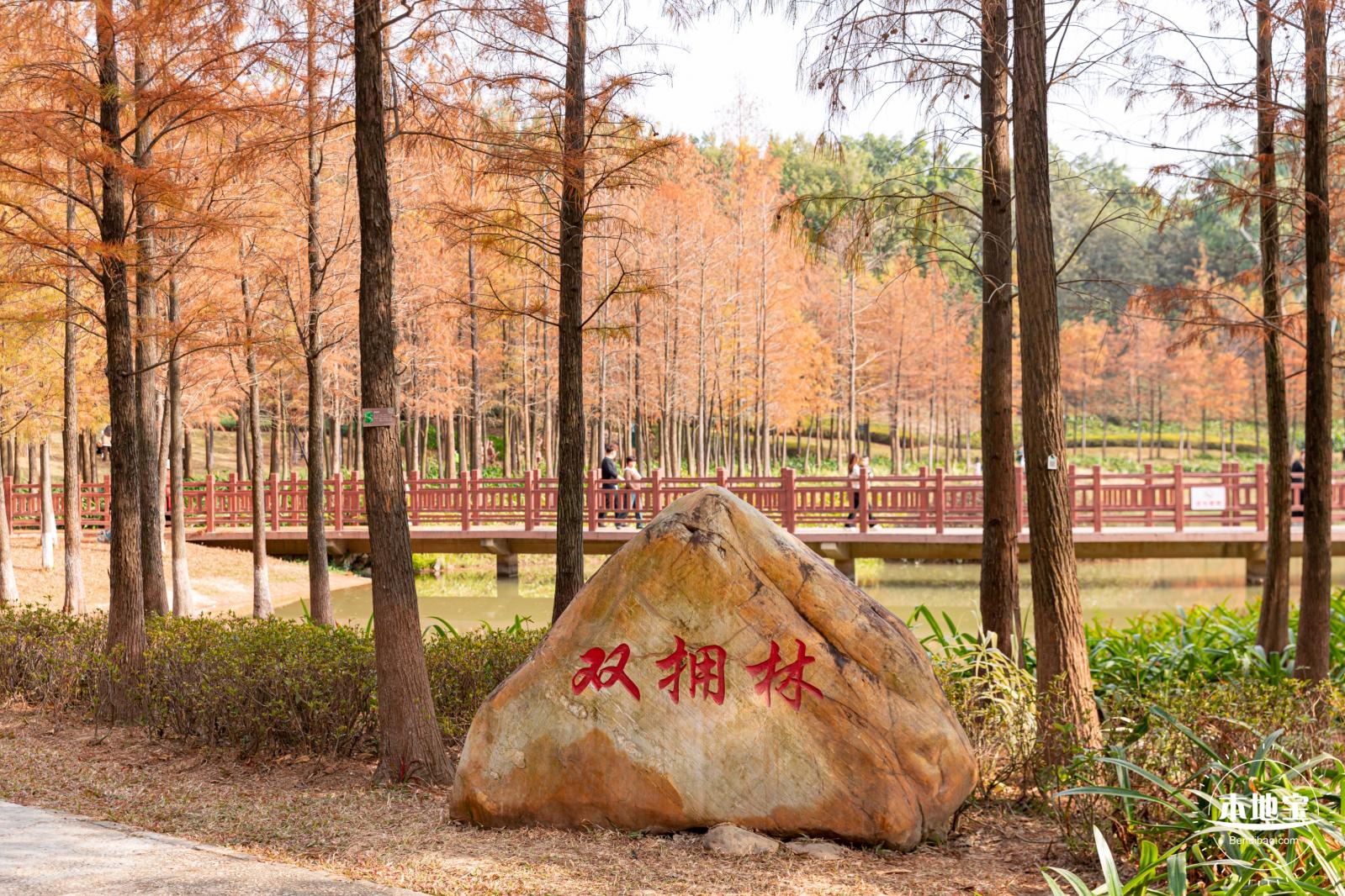红花岭公园