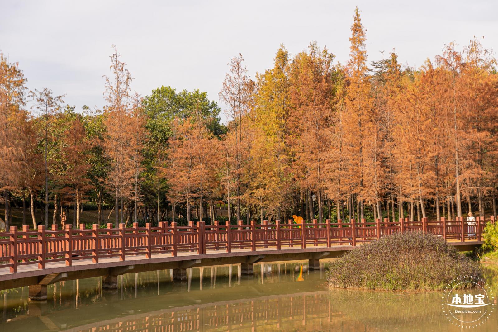 红花岭公园