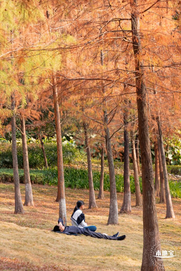红花岭公园