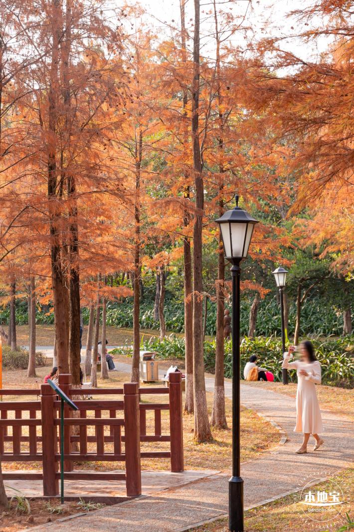 红花岭公园