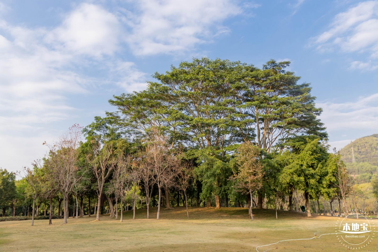 红花岭公园