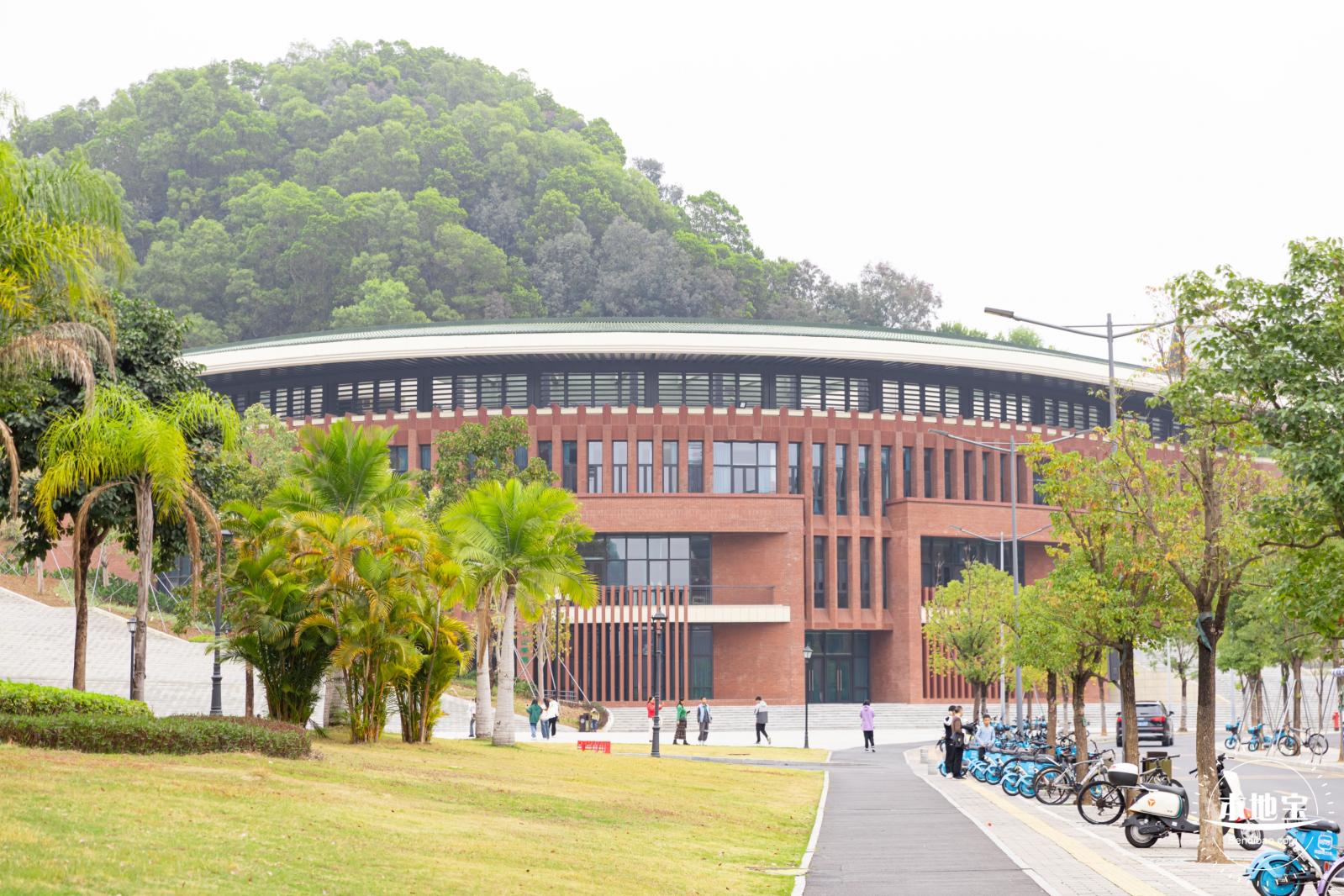 中山大学（深圳校区）
