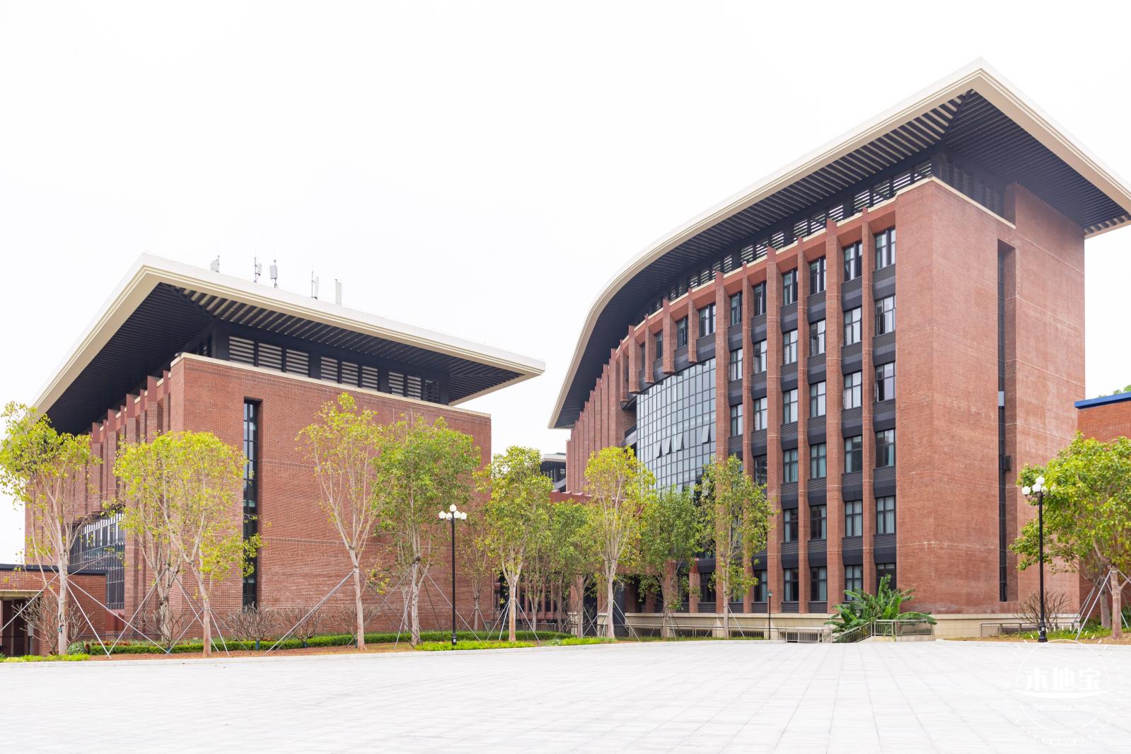 中山大学（深圳校区）