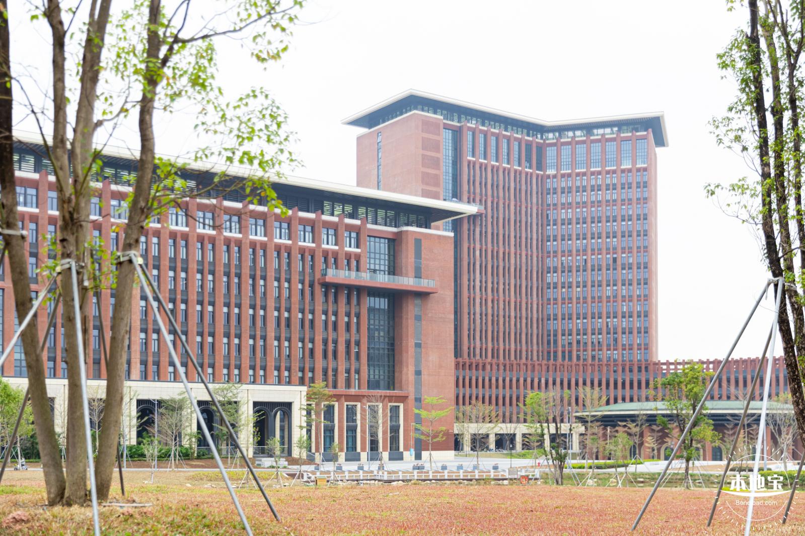 中山大学（深圳校区）