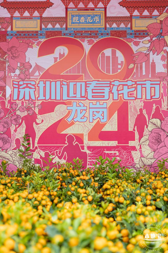 北理莫斯科大学&龙岗迎春花市