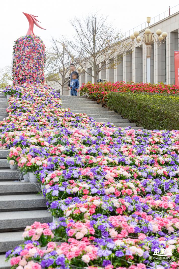 北理莫斯科大学&龙岗迎春花市