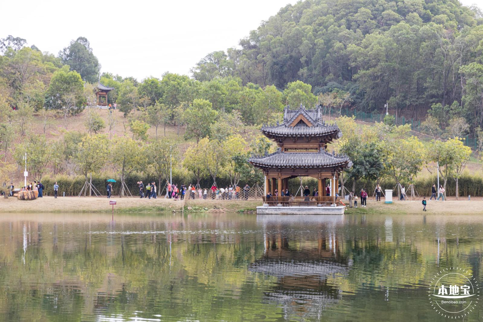 北理莫斯科大学&龙岗迎春花市