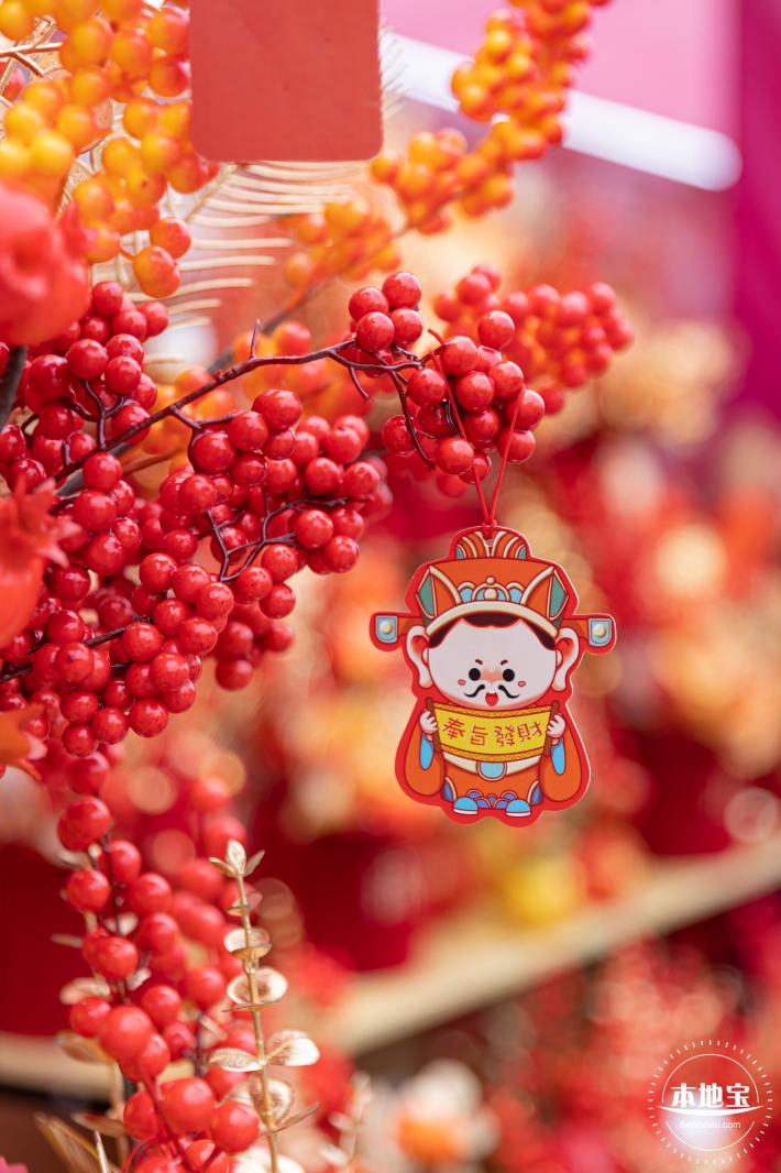 北理莫斯科大学&龙岗迎春花市
