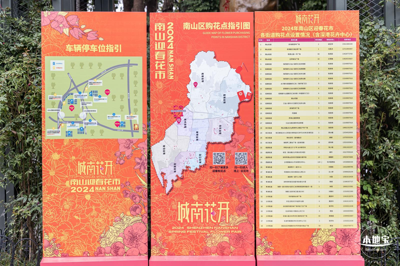 荷兰花卉小镇郁金香