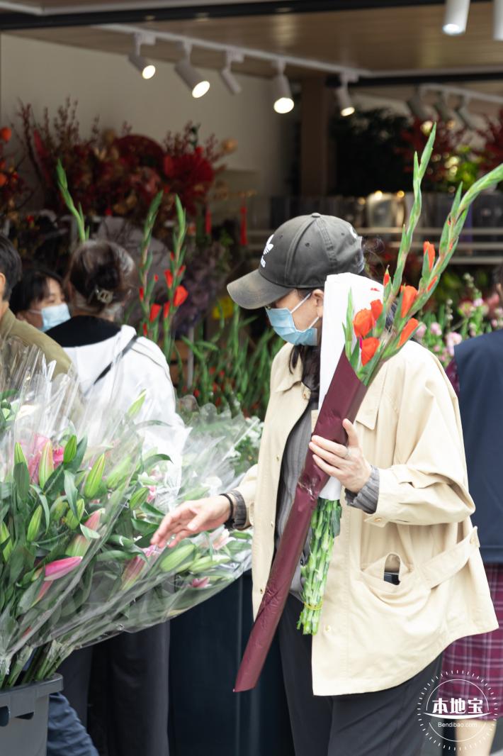 荷兰花卉小镇郁金香