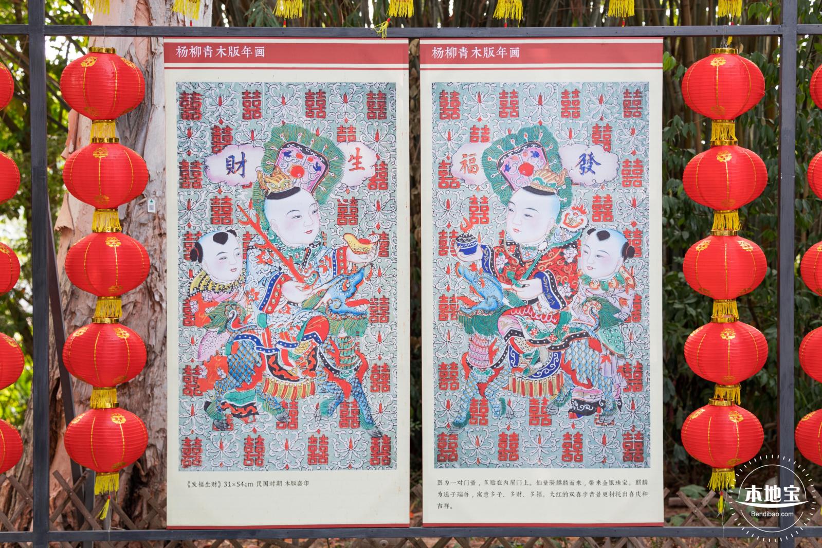 观澜油菜花海