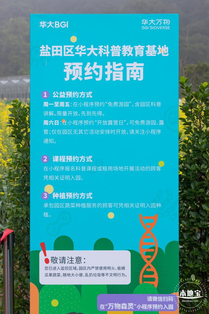 华大万物-油菜花