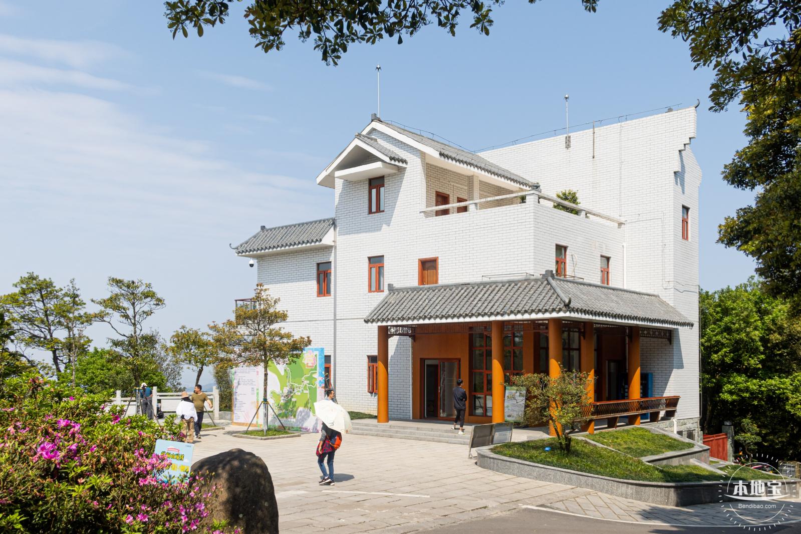 梧桐山毛棉杜鹃花会