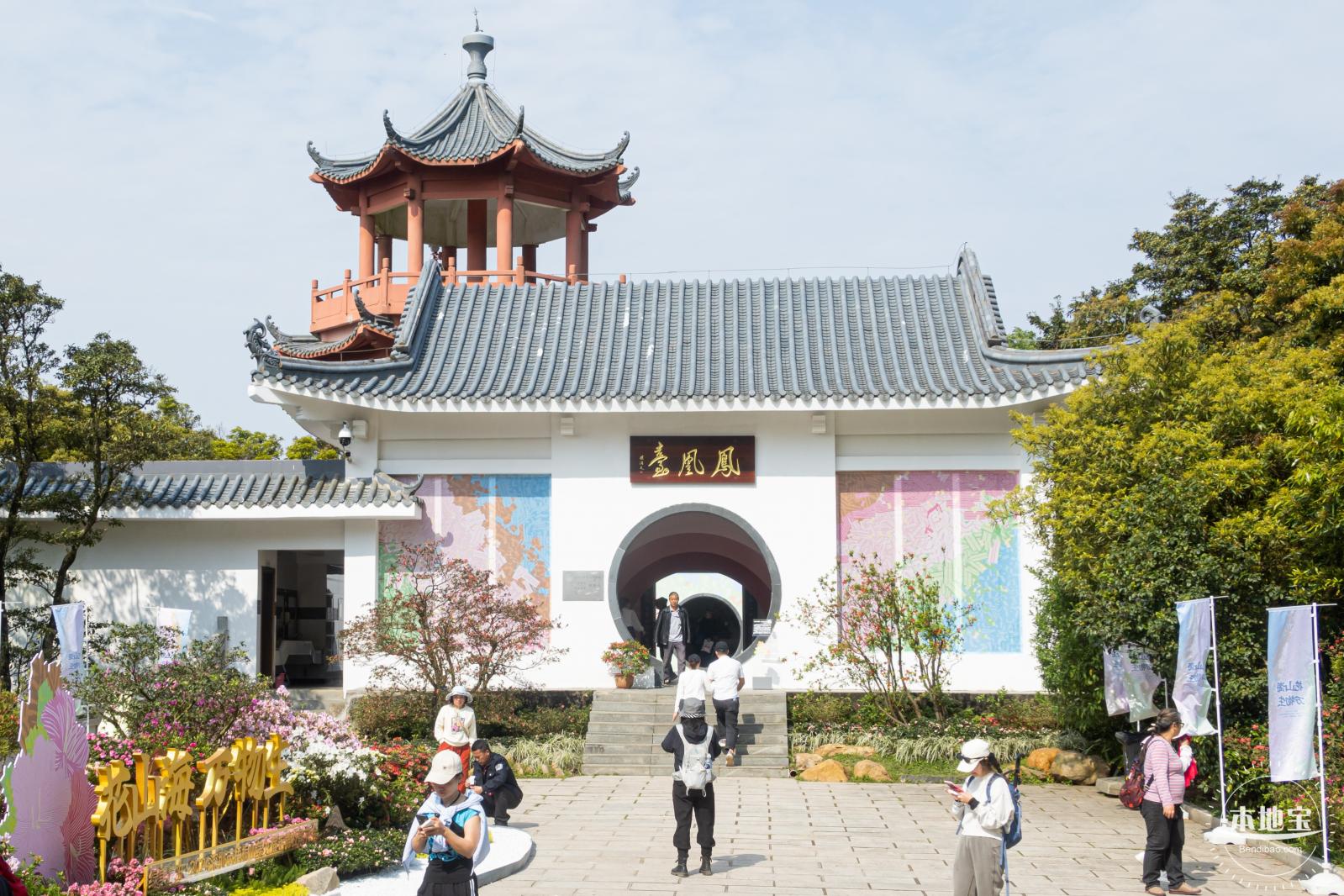 梧桐山毛棉杜鹃花会