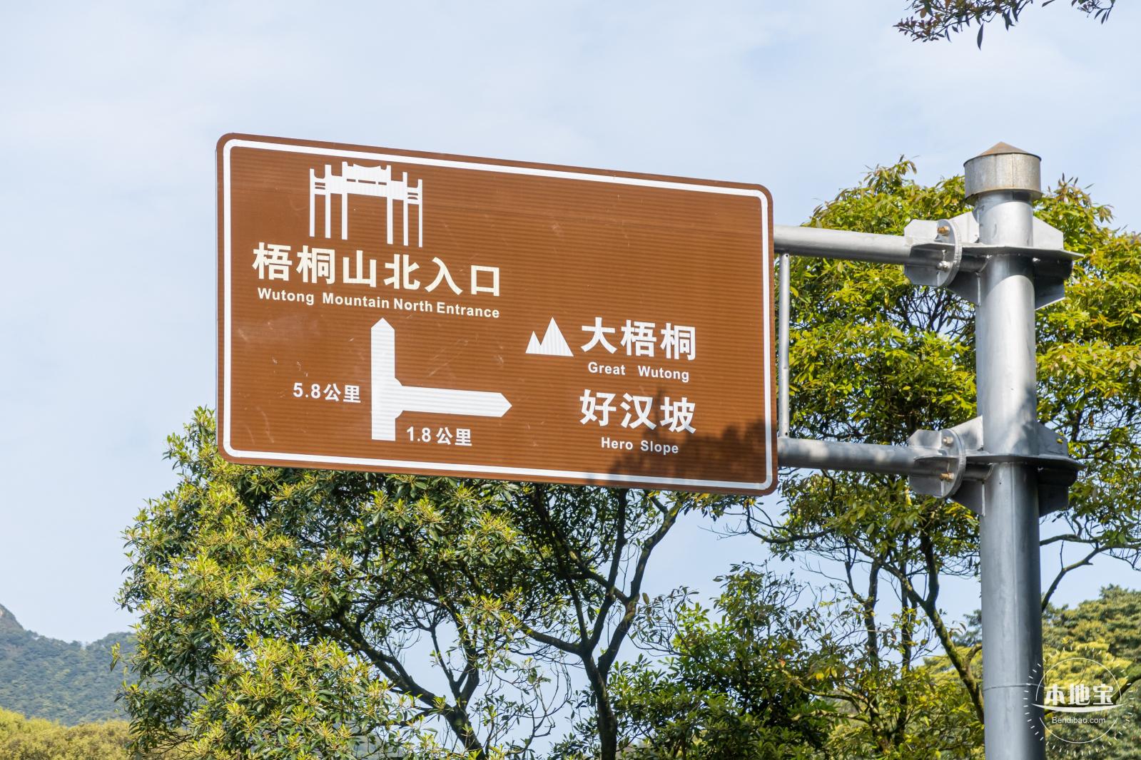梧桐山毛棉杜鹃花会
