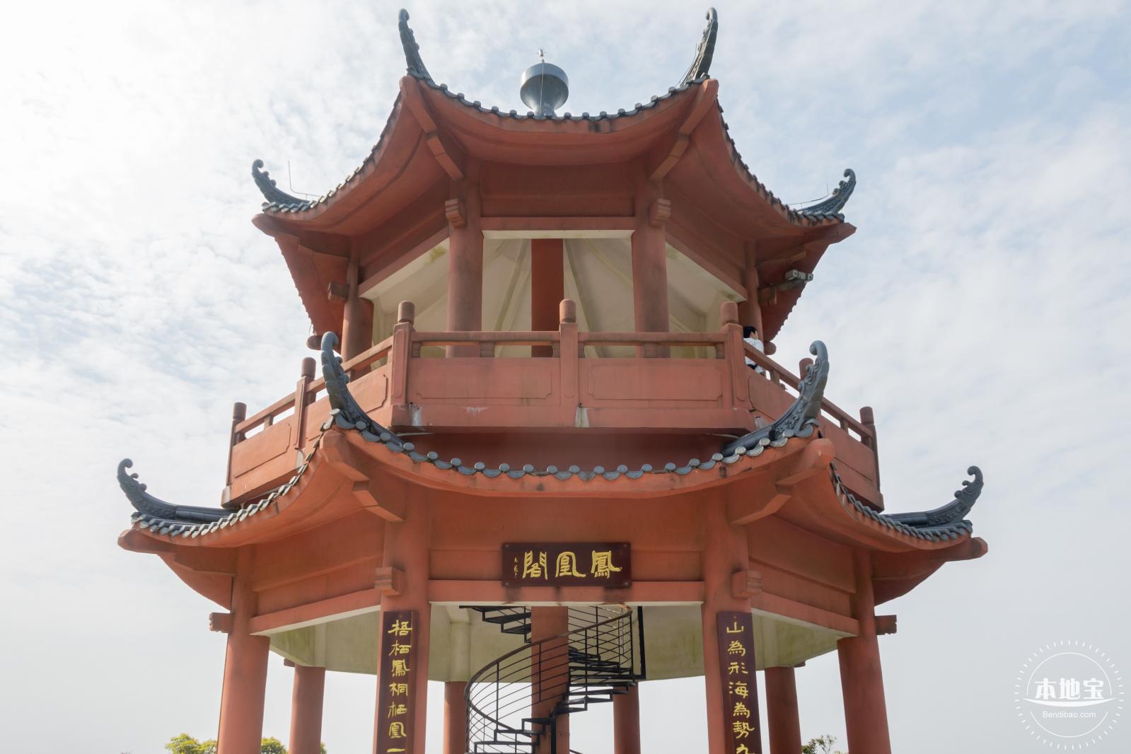 梧桐山毛棉杜鹃花会
