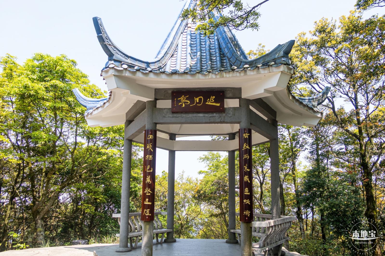 梧桐山毛棉杜鹃花会