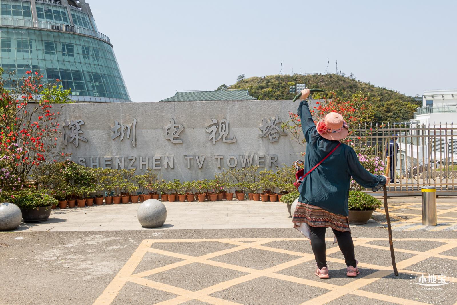 梧桐山毛棉杜鹃花会
