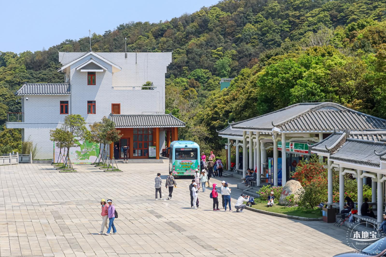 梧桐山毛棉杜鹃花会