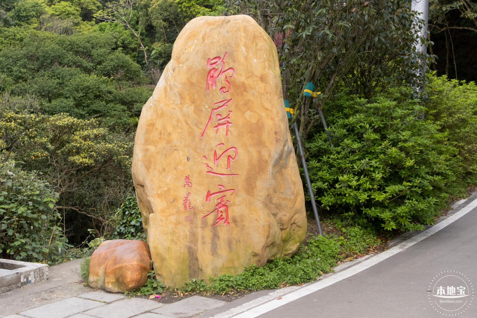 梧桐山毛棉杜鹃花会