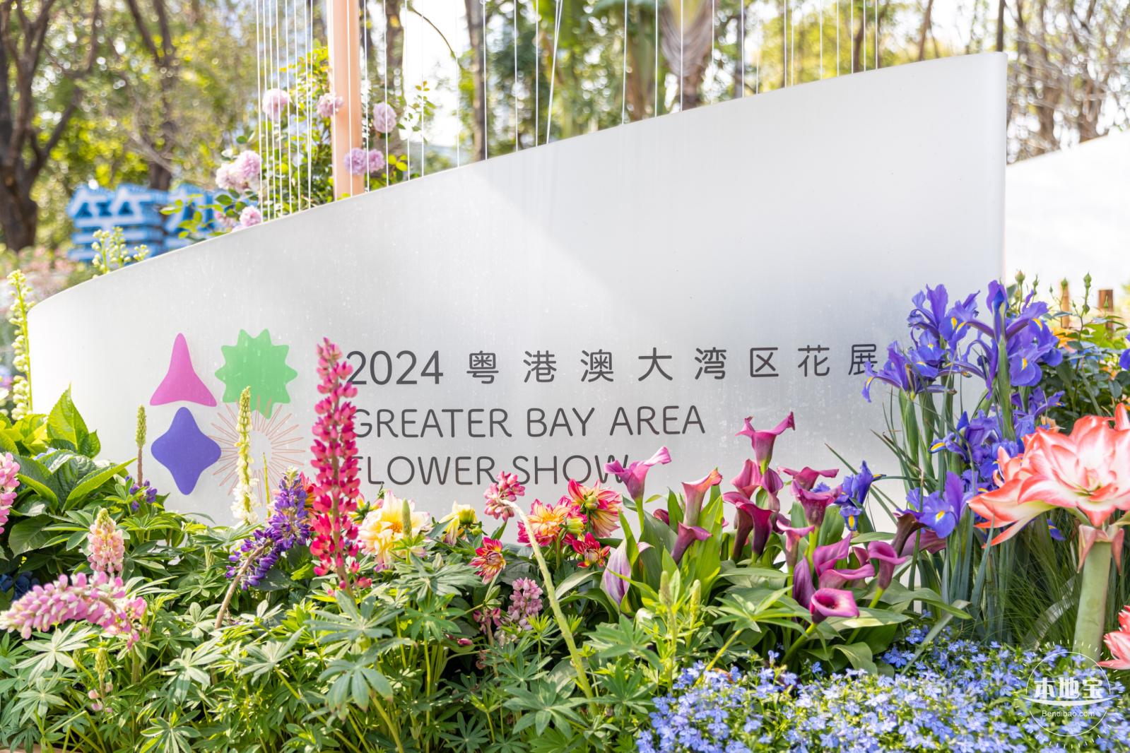 2024粤港澳大湾区花展