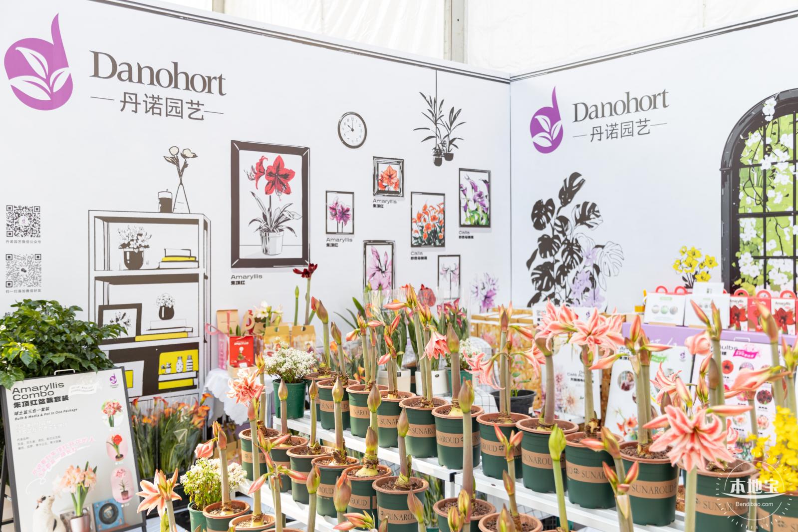 2024粤港澳大湾区花展