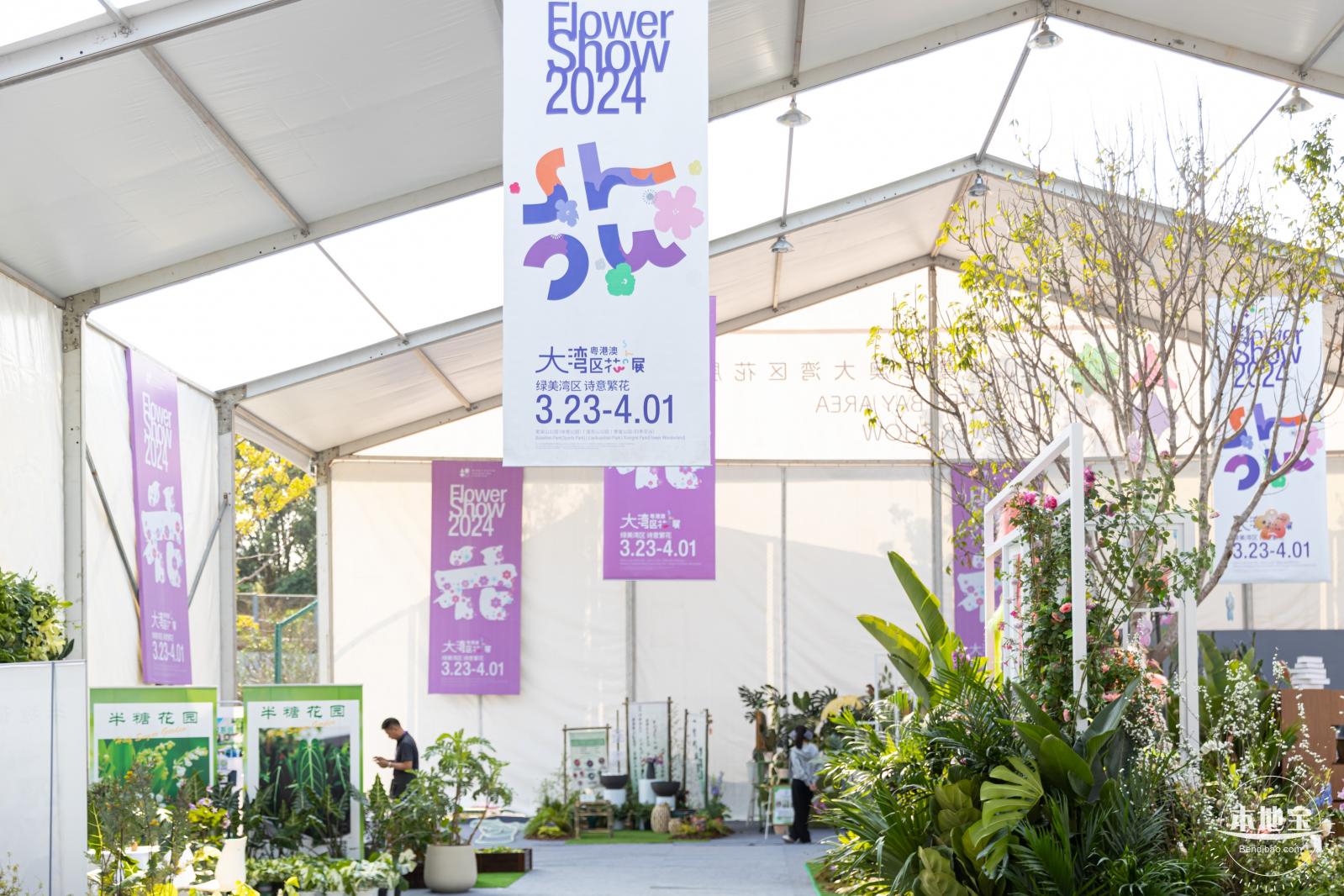 2024粤港澳大湾区花展