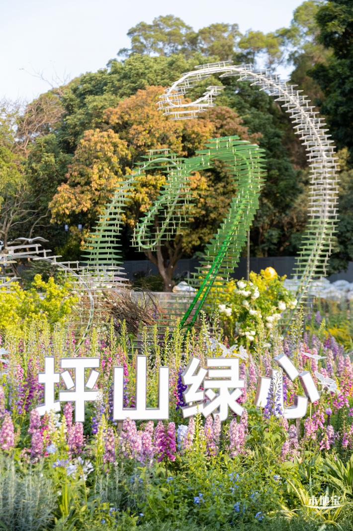 2024粤港澳大湾区花展
