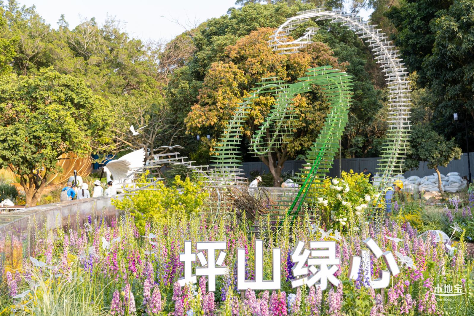 2024粤港澳大湾区花展