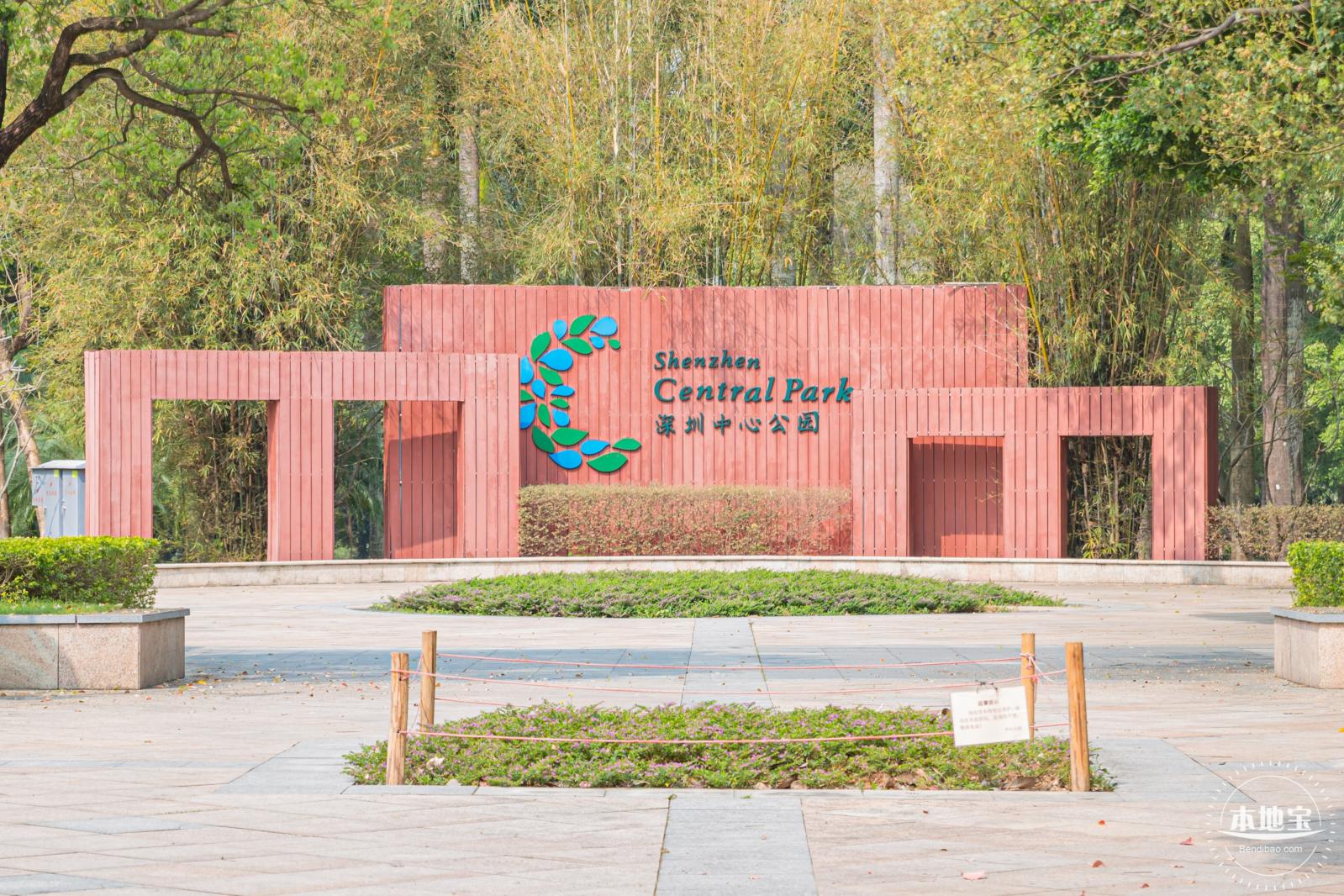 深圳中心公园朱顶红