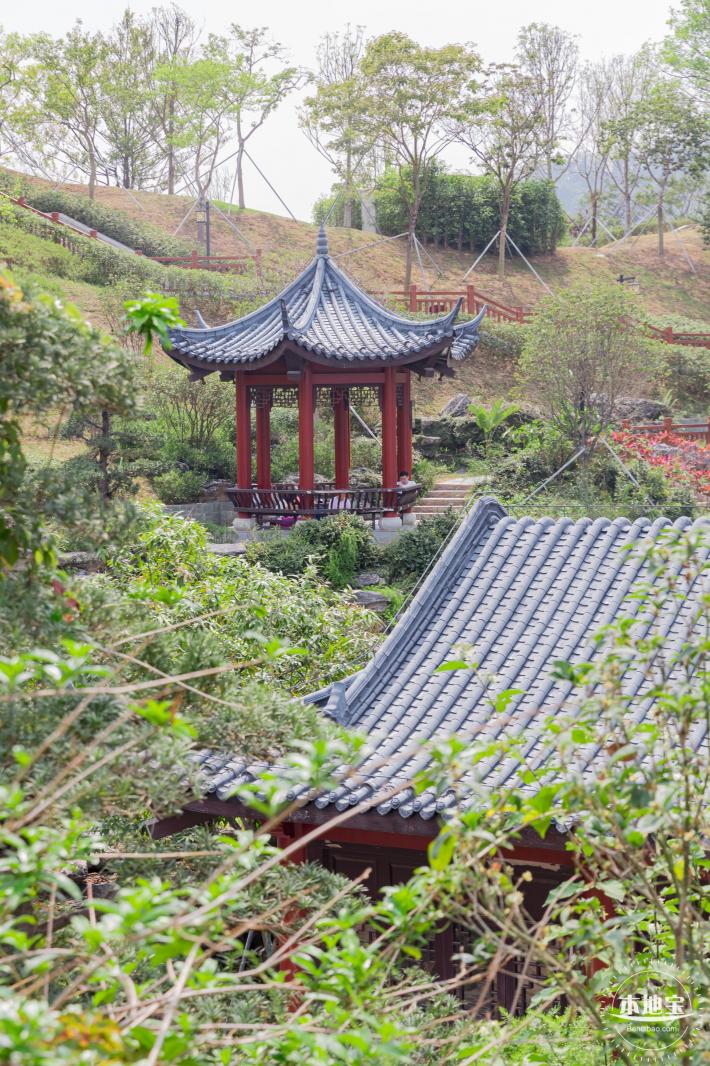 玉龙公园花海